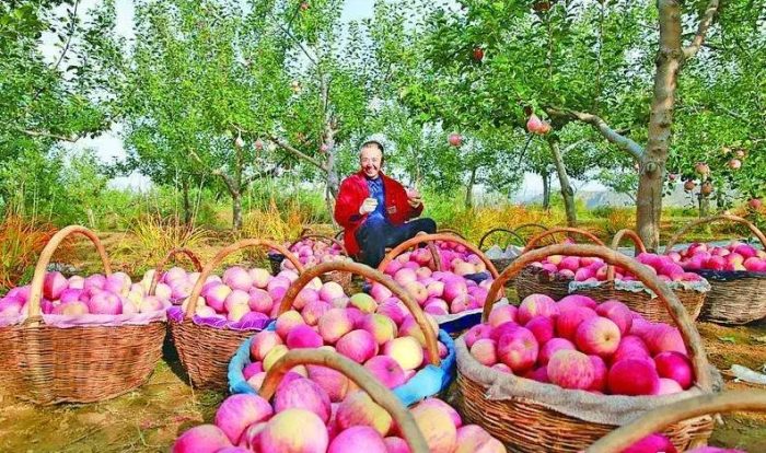中国县城概况：庆城——岐黄故里，能源之城！-1