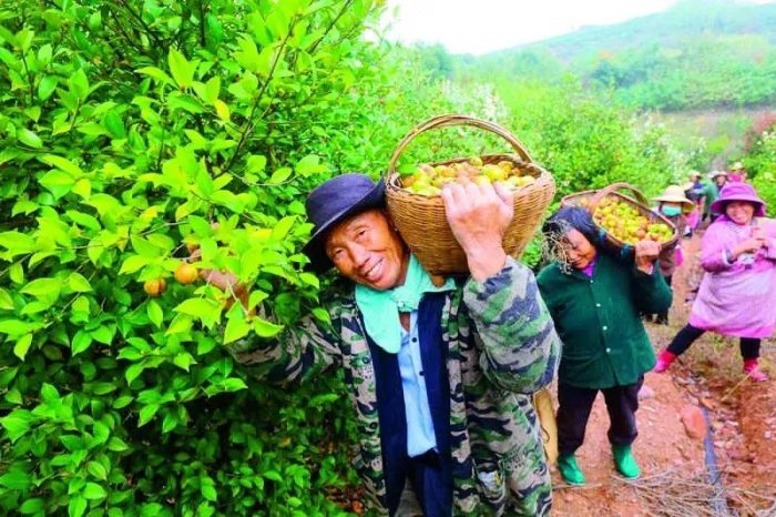 中国县城概况：光山——水光山色，不夜弦城！-1