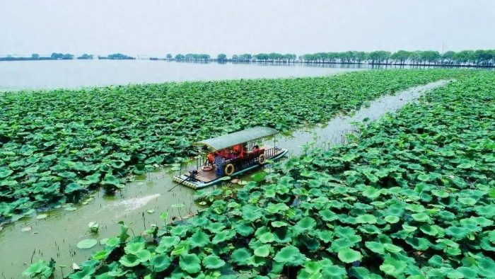 中国县城概况：洪湖——极目楚天舒，最美是洪湖！-1