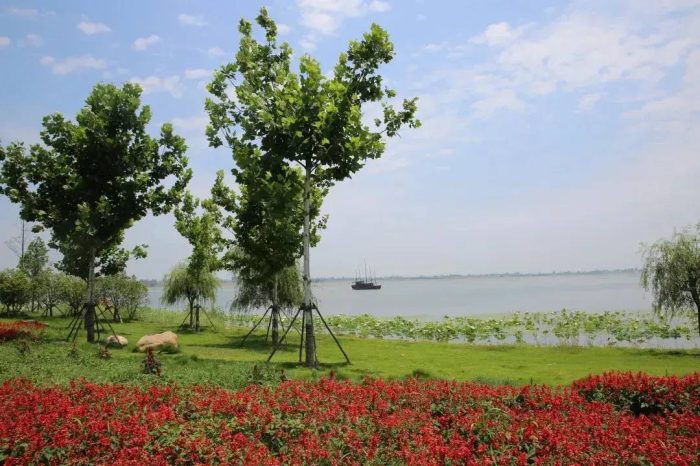 中国县城概况：枝江——三峡水乡，田园枝江！-1