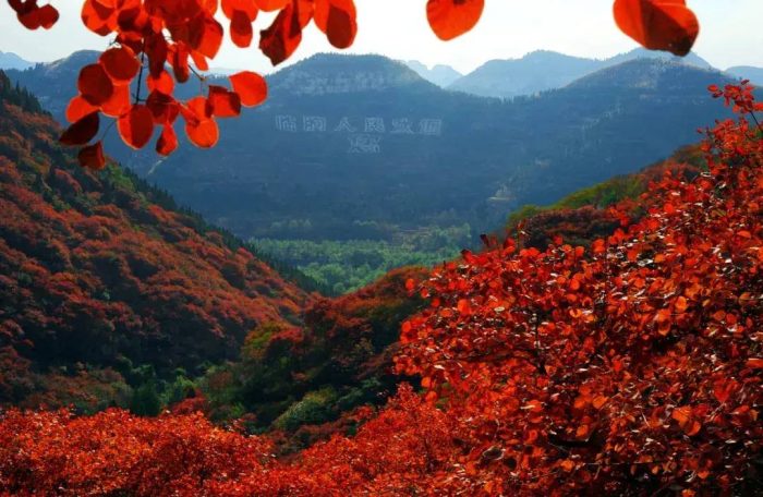 中国县城概况：临朐——灵气所钟，山水临朐！-1