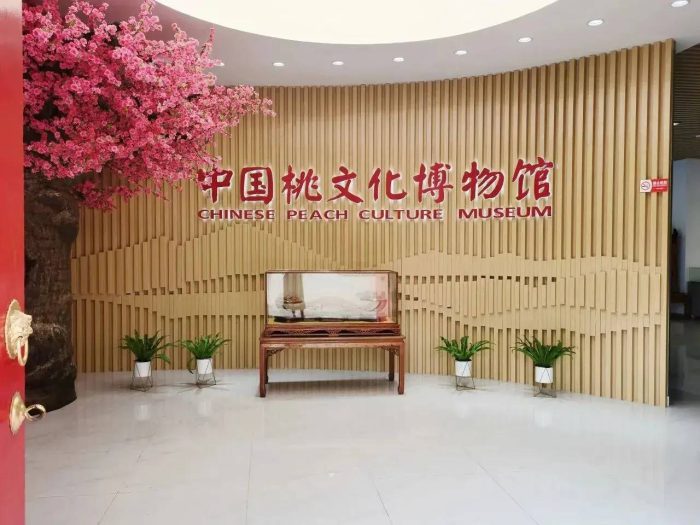 中国县城概况：肥城——君子之邑，佛桃之乡-1