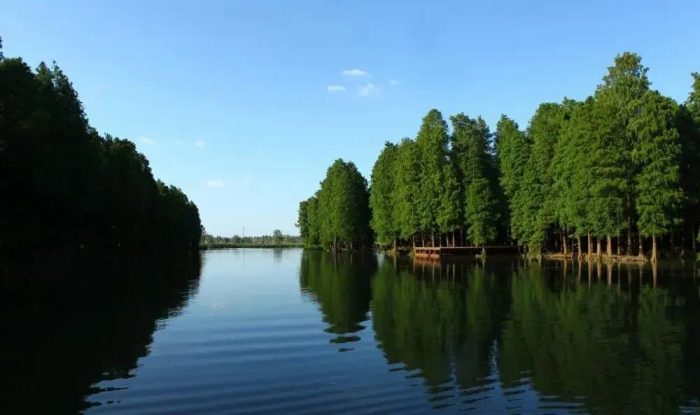 中国县城概况:兴化——水润兴化，如诗如画！-1