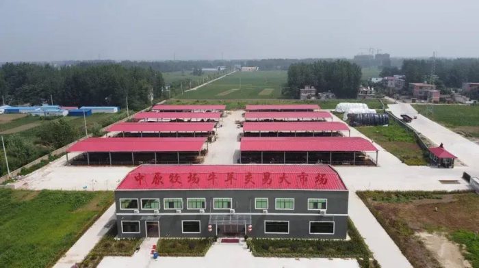 中国县城概况：临泉——中国户籍人口第一大县，皖美临泉-1