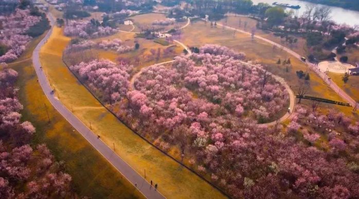 中国县城概况：太和——安徽牛肉板面的发源地！-1