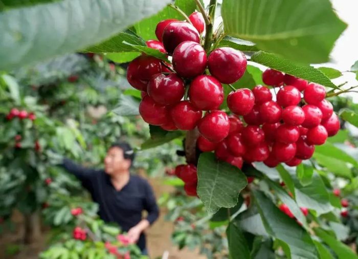 中国市辖区概况:山海关——两京锁钥无双地，万里长城第一关！-1