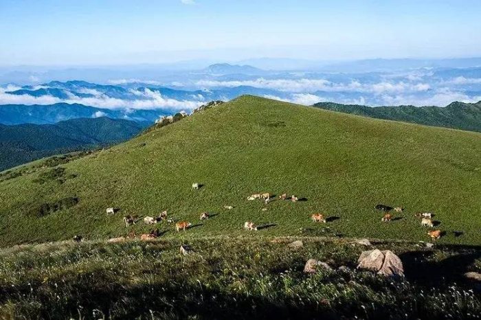 中国县城概况：平泉——通衢辽蒙、燕赵门楣！-1
