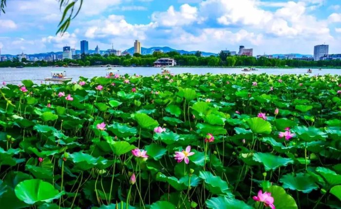 中国省会城市概况：济南——一个低调到被严重低估的城市。-1