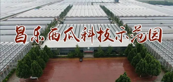 中国县城概况：昌乐——宝都昌乐，常来常乐！-1