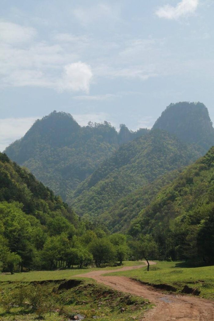 济宁十大春季旅游景点（济宁适合春季旅游的地方有哪些）-1