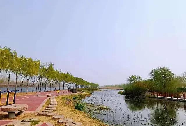 中国县城概况：莘县——鲁西明珠，大美莘县！-1