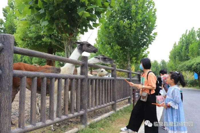 中国县城概况：临泉——中国户籍人口第一大县，皖美临泉-1