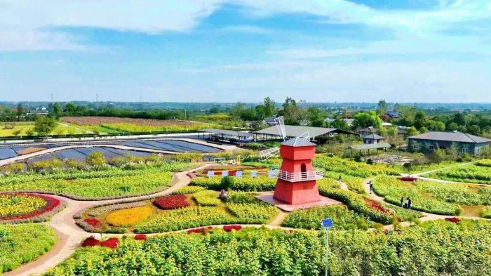 中国县城概况：枝江——三峡水乡，田园枝江！-1