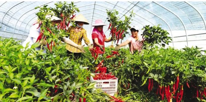 中国县城概况：萧县——多彩萧县，魅力之城！-1