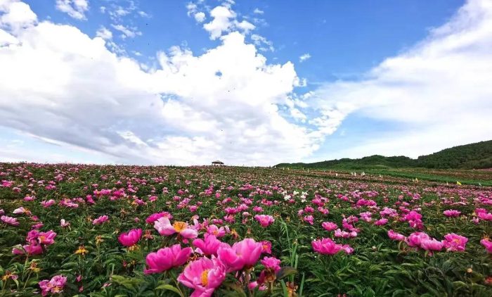 中国县城概况：古浪——丝路要塞，红色古浪！-1