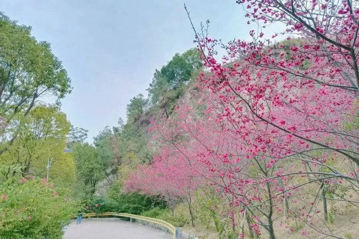 中国县城概况:南安——成功故里，海丝南安，爱拼敢赢！-1