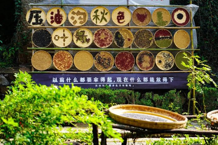 中国县城概况：兰陵——兰香东方，圆梦兰陵！-1