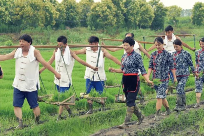 中国县城概况:兴化——水润兴化，如诗如画！-1
