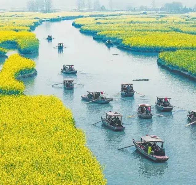 中国县城概况:兴化——水润兴化，如诗如画！-1