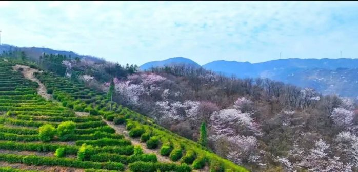 中国县城概况：大悟——鄂北门户，革命老区，红色大悟！-1