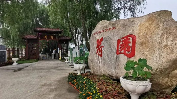 中国县城概况:宝应——荷香天下，“藕”遇宝应！-1
