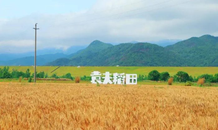 中国县城概况：黄梅——戏乡福地，灵润黄梅！-1