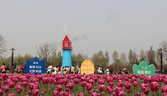 济宁十大春季旅游景点（济宁适合春季旅游的地方有哪些）-1