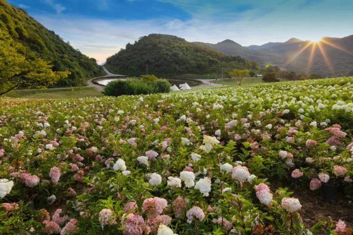 中国市辖区概况:涪陵——山水之城，两江福地，榨菜之都！-1