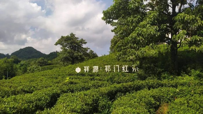 中国县城概况：祁门——千年古县，红茶之乡！-1