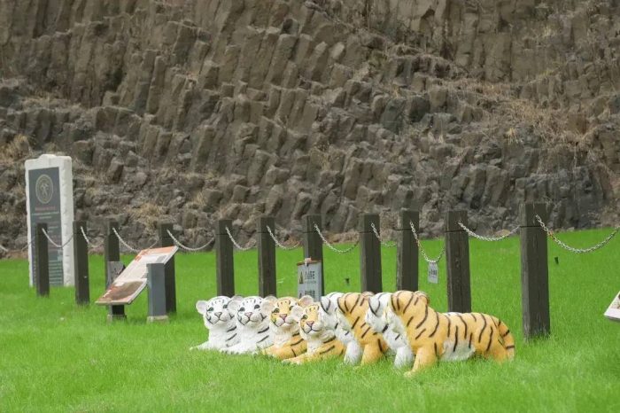 中国市辖区概况:南京市六合区——民歌《茉莉花》发源地！-1