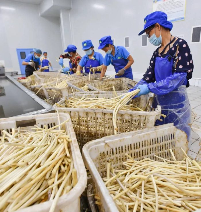 中国县城概况：洪湖——极目楚天舒，最美是洪湖！-1