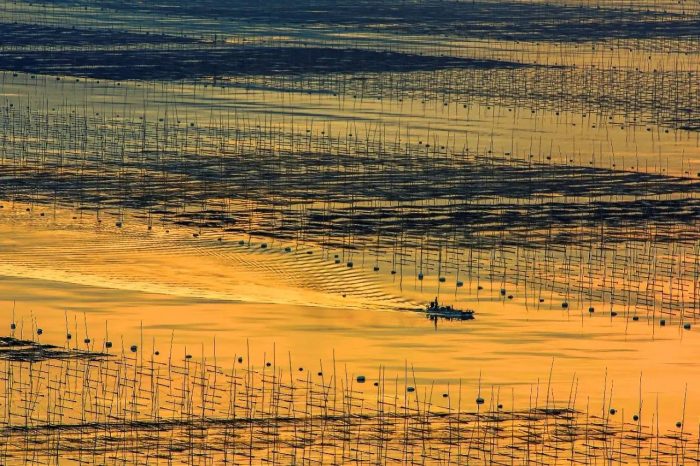 中国县城概况:霞浦——画本霞浦，千鲜之城！-1