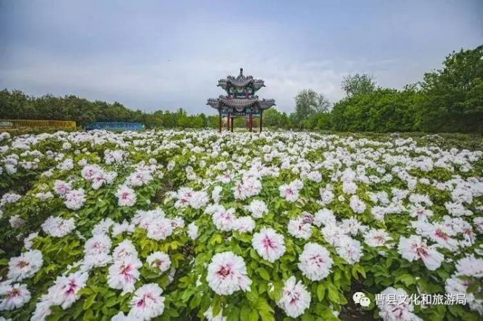 中国县城概况：曹县——低调的超牛县城，山东人口第一大县！-1