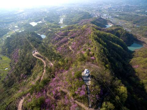 金华十大春季旅游景点（金华适合春季旅游的地方有哪些）-1