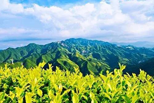 中国县城概况：缙云——黄帝缙云，人间仙都！-1