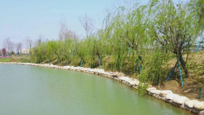 中国县城概况:民权——故道民权，风采无限！-1