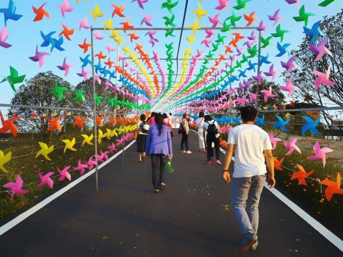 盘锦十大春季旅游景点（盘锦适合春季旅游的地方有哪些）-1