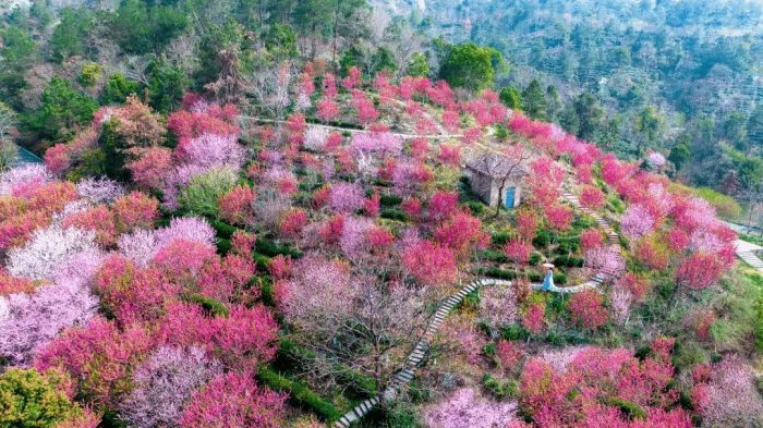 中国市辖区概况：武汉市黄陂区——大武汉，好山好水好黄陂！-1