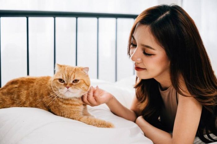 帮猫咪选择猫爬架还有这些讲究？猫爬架的材质如何挑选？-1