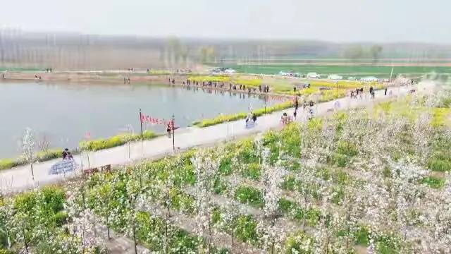 中国县城概况：辛集——中国皮革皮衣之都，辛集皮毛甲天下！-1