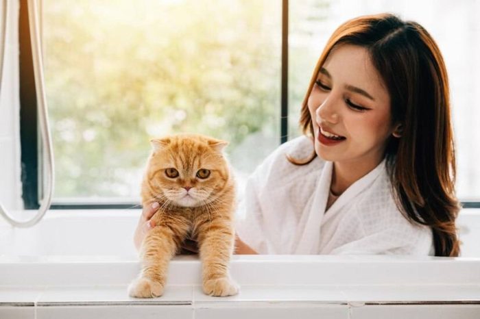 帮猫咪选择猫爬架还有这些讲究？猫爬架的材质如何挑选？-1