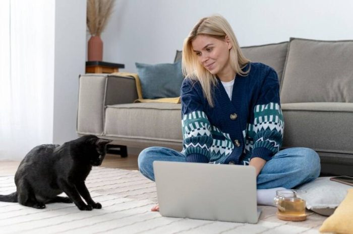 选择猫爬架还要考虑高度？怎么帮猫咪选择合适高度的猫爬架-1