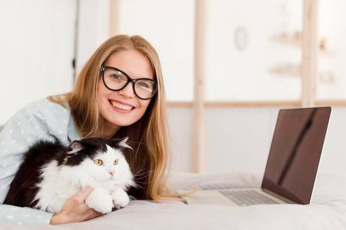 选择猫爬架还要考虑高度？怎么帮猫咪选择合适高度的猫爬架-1
