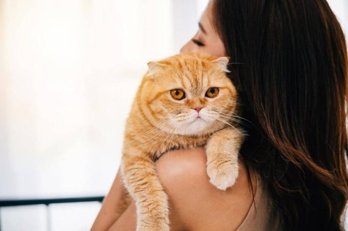 帮猫咪选择猫爬架还有这些讲究？猫爬架的材质如何挑选？-1