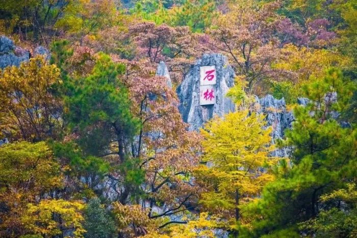 中国县城概况:淳安——魅力千岛湖，青春理想城！-1