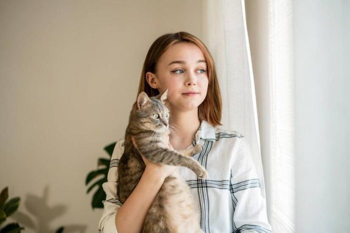 选择猫爬架还要考虑高度？怎么帮猫咪选择合适高度的猫爬架-1