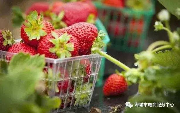 中国县城概况:海城——世界镁都，滑石之乡！-1