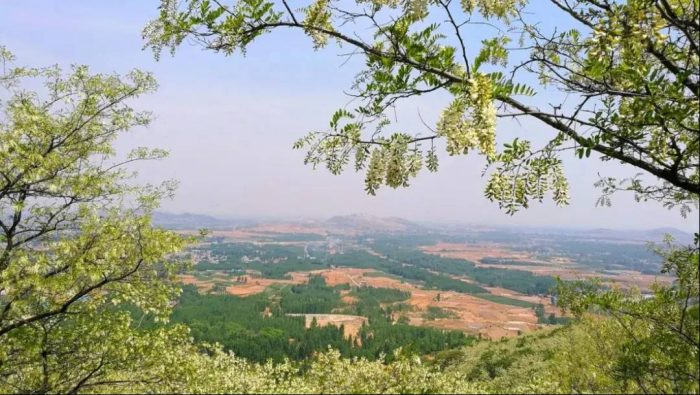 中国县城概况:宁阳——宁山之阳，美丽宁阳！-1