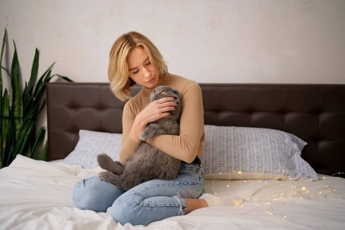 帮猫咪选择猫爬架还有这些讲究？猫爬架的材质如何挑选？-1