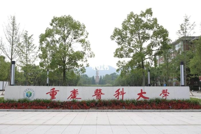 基础医学专业2024年排名：复旦大学夺第一，就业前景好！-1